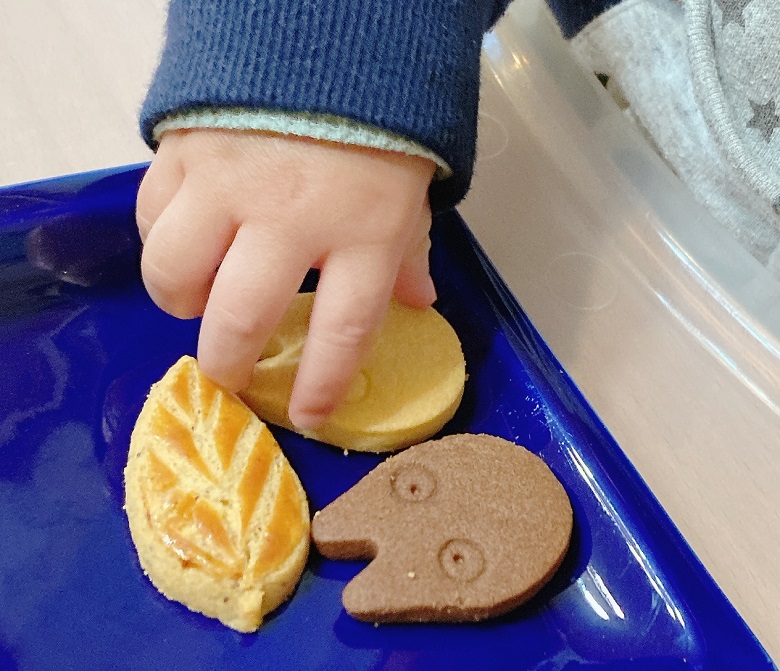 森のお土産を食べようとする1歳の手